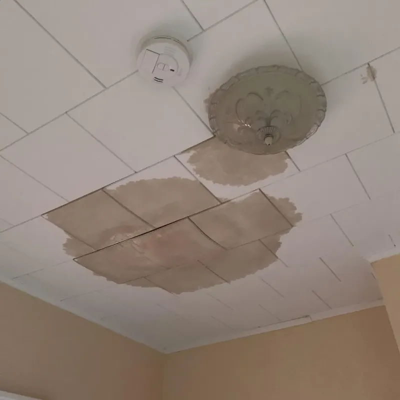 Ceiling Water Damage Repair in Four Corners, MT