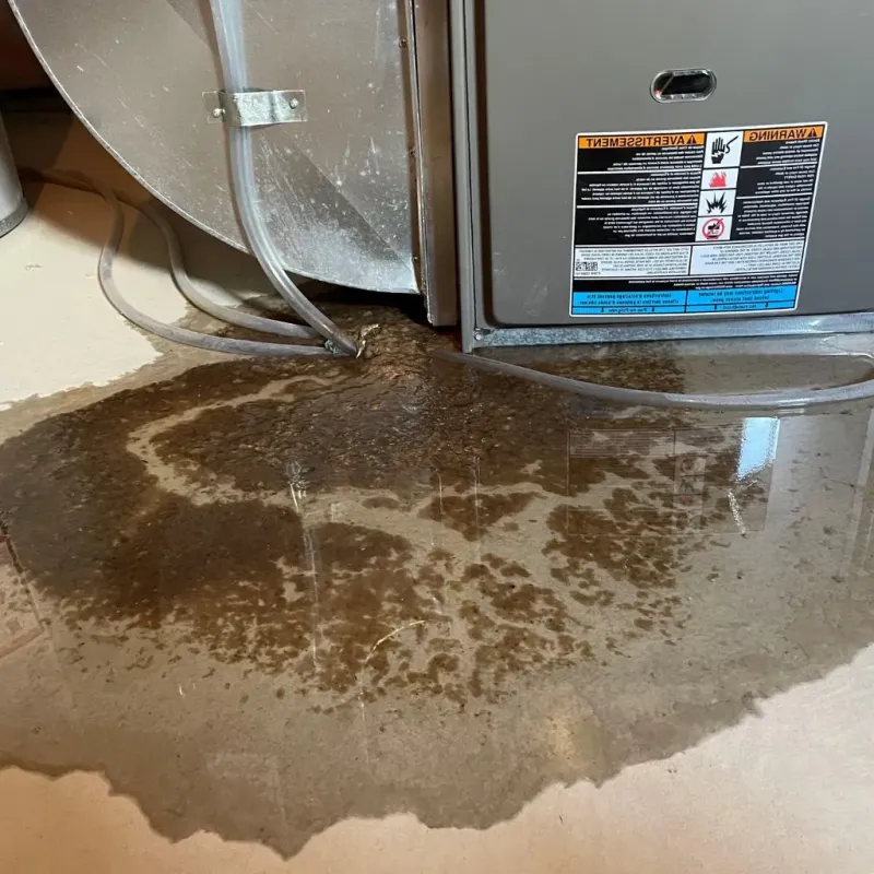 Pipe Burst and Leak Restoration in Four Corners, MT